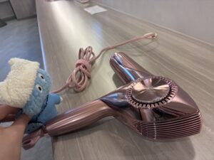 舞浜ユーラシア＿ReFaのドライヤー