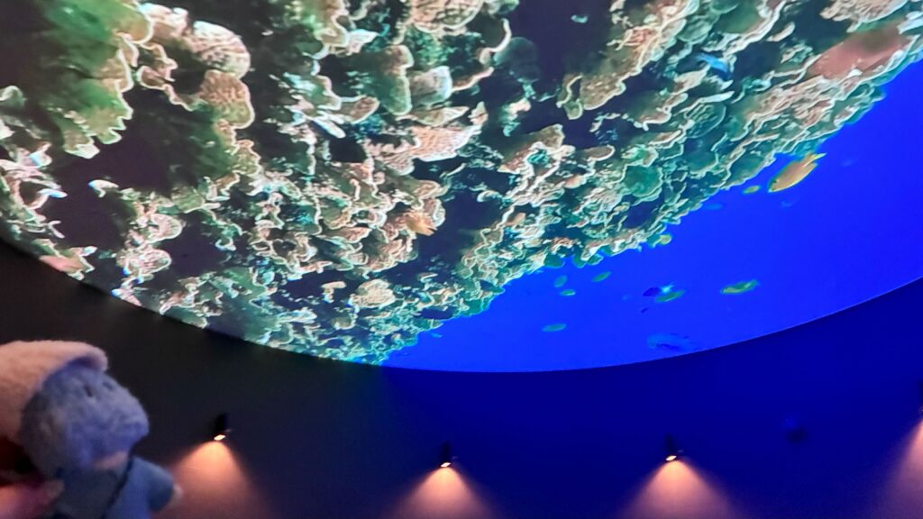 舞浜ユーラシア＿MEISOUの天井