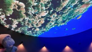 舞浜ユーラシア＿MEISOUの天井